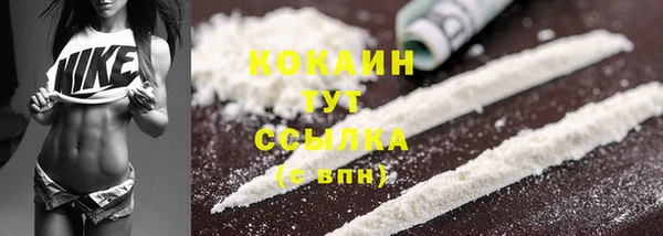 шишки Балахна